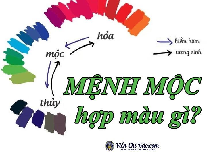 Bí quyết chọn ví màu phù hợp với Mệnh Mộc: Gợi mở cánh cửa tài lộc